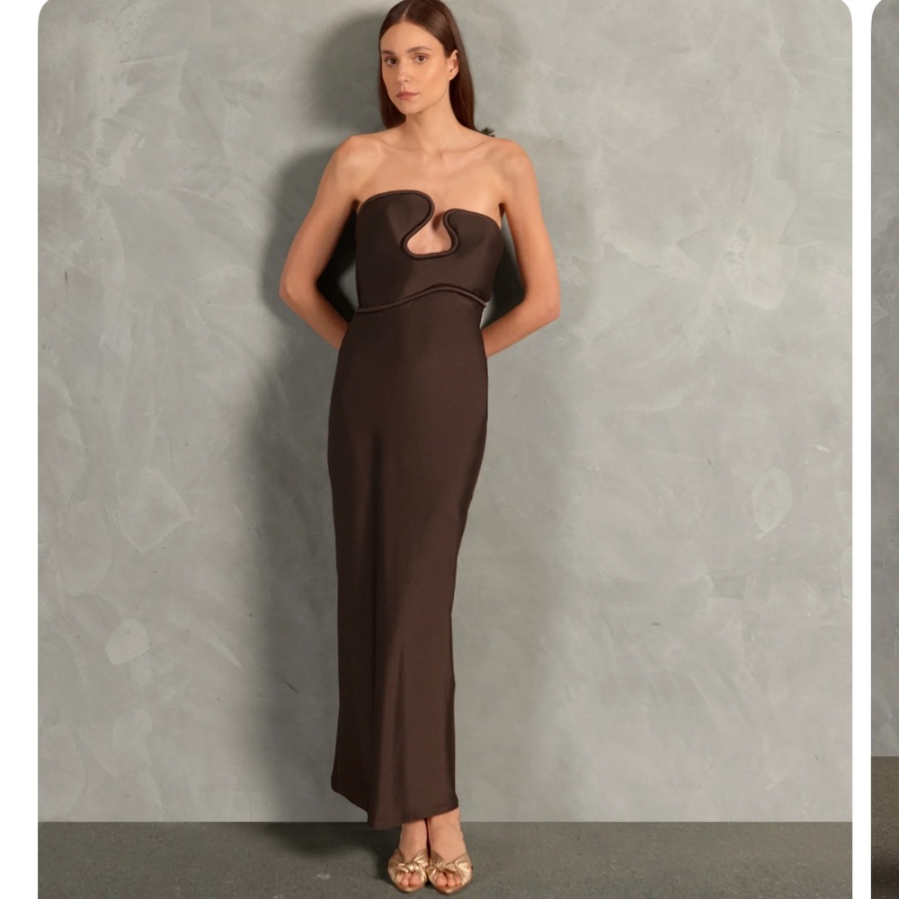 Adriana Degreas Sold Out Waves Strapless Long Brown Dress, Small